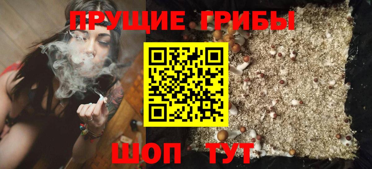 даркнет сайт  Псилоцибиновые грибы Psilocybe  Вход с VPN  Горячий Ключ 