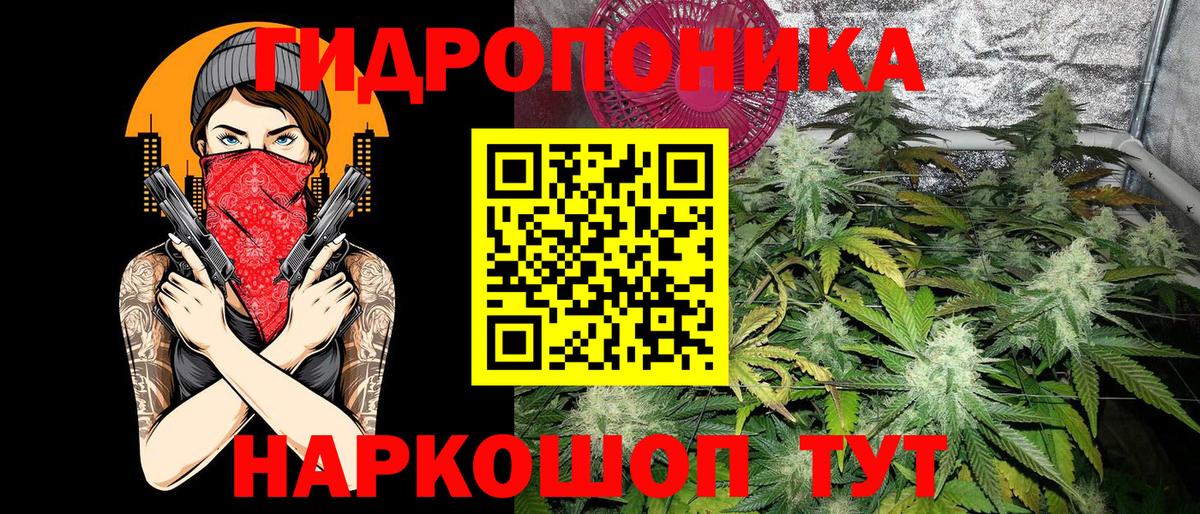 Канабис семена  Шишки марихуана SATIVA & INDICA  МАРИХУАНА White Widow  Вход с VPN  Горячий Ключ 